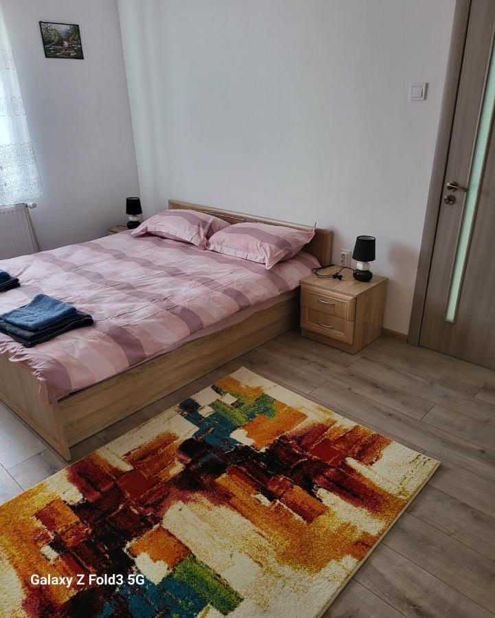 Apartament In Bucovina, Campulung Moldovenesc, Impecabil . Apartment Exterior foto